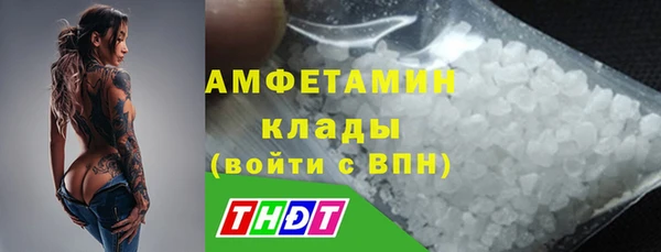 дживик Верхний Тагил